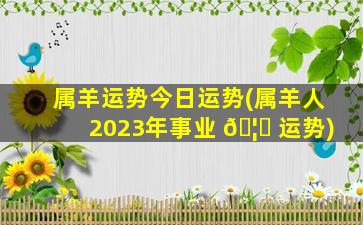 属羊运势今日运势(属羊人2023年事业 🦈 运势)